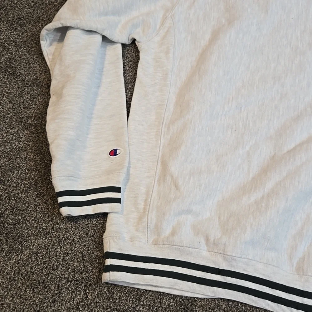 Vintage Champion Mens Okoboji The Lake Reverse Weave 90" Crewneck Pullover Sz L - Picture 6 of 7